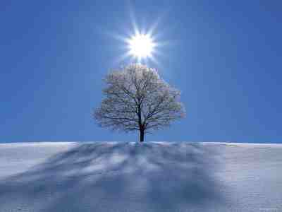 http://www.art.co.uk/asp/sp-asp/_/pd--13062664/sp--A/Sun_Shining_in_Blue_Sky_Over_Tree_in_Winter_Snow_Biei_Hokkaido_Japan.htm