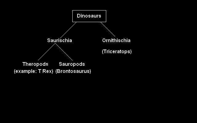Dinosaur evolution from EDUgraphics.net