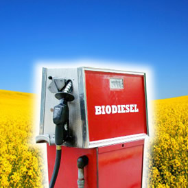 Did you know that petrol and diesel now contain a minimum of 2.5% biofuels?
