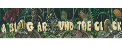 Coturnix link