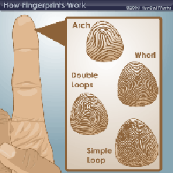 How Fingerprinting Works