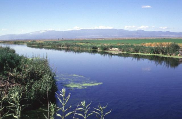 Smithsonian: The broad 50-km-wide Medicine Lake volcano in the southern Cascade Range of NE California, seen here from the NE, is an example of a large shield volcano in a continental margin setting. Its chemistry is more diverse than Hawaiian shield volcanoes, and it has produced both basaltic lava flows and rhyolitic tephras and obsidian flows during the Holocene. Eruptions have occurred during the past 6000 years from vents within a 7 x 11 km summit caldera and from other vents on its flanks.