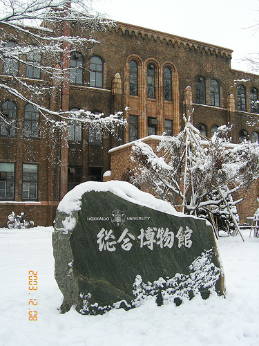 James Bendle climate forcing