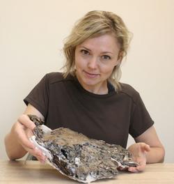 Expert paleontologists at the University of Calgary and the Royal Tyrrell Museum are lucky to have discovered the fossilized remains of a 75-million-year-old pregnant turtle and nest of 26 eggs.