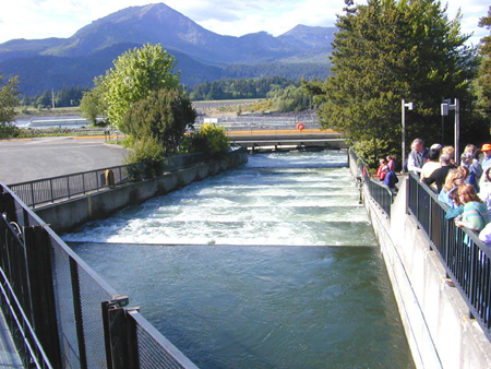 Bonneville Dam on the Columbia River