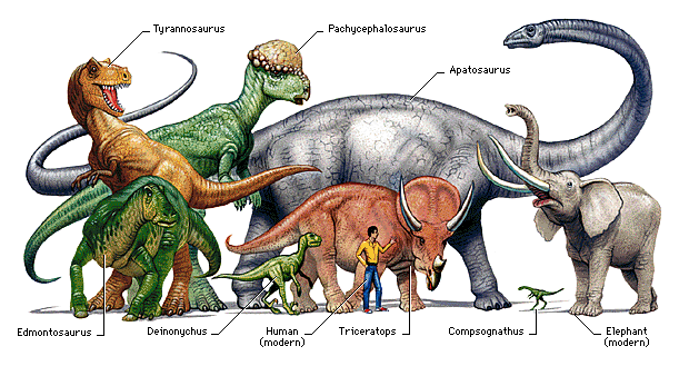 What Wiped Out The Dinosaurs?