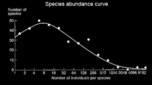 species abundance disttribution