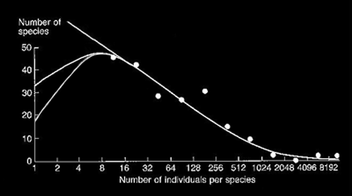 species abundance disttribution