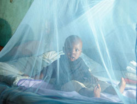 The world knows that investing in the first five years of a child's life can break the cycle of poverty. And yet hundreds of millions of children around the globe are being denied basic care. This is their short film. Stay tuned for the longer version. Malaria (Plasmodium falciparum) in sub-Saharan Africa