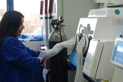 Sonia Rocha at the Wellcome Trust Centre for Gene Regulation and Expression