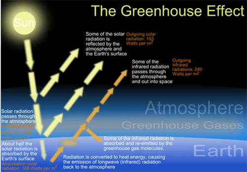 Heritage Environmental Ltd