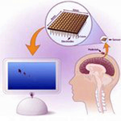 The NeuroNetwork. Brain computer interface. Aleksandra Vuckovic
