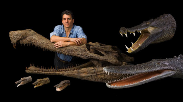 Crocodile ancestors found in Sahara