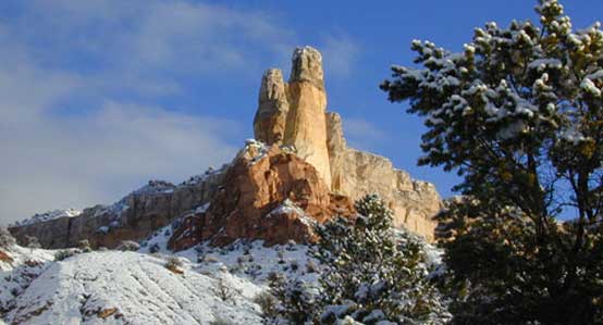 Ghost Ranch in Abiquiu is known worldwide among paleontologists as the location of the articulated fossils of the Coelophysis (SEE-Low-FY-sis), as well as having one of the richest quarries of the Triassic era, which began 220 million years ago.