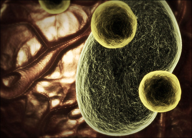 Malaria monsters inside me