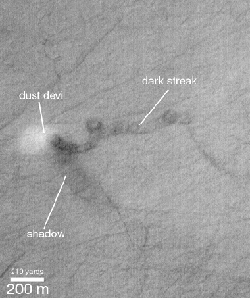 Dust devils on Promethei Terra