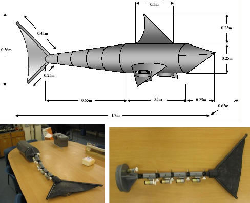  RoboSalmon Are Descended From SHARCs